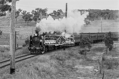Photograph, George Coop, Vintage train excursion hauled by steam locomotive K-190 passing through the level crossing at Allendale Road, Eltham on the way to Hurstbridge, c.1981, 1981