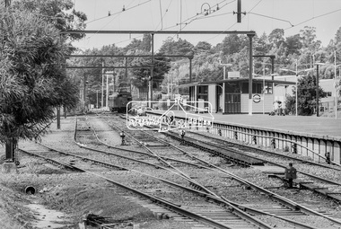 Photograph, George Coop, A Single Motor Carriage (Red Rattler) Tait train arrives from Hurstbridge at Eltham Railway Station, 7-8 February 1981, 1981