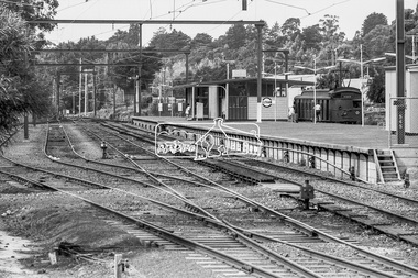 Photograph, George Coop, A Single Motor Carriage (Red Rattler) Tait train arrives from Hurstbridge at Eltham Railway Station, 7-8 February 1981, 1981