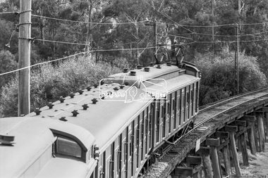 Photograph, George Coop, An Eltham bound Tait (Red Rattler) train crossing the Eltham Railway Trestle Bridge, 7-8 February 1981, 1981