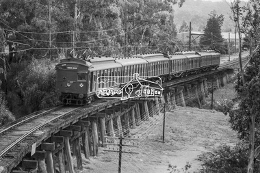 Photograph, George Coop, A Princes Bridge bound Tait (Red Rattler) train crossing the Eltham Railway Trestle Bridge, 7-8 February 1981, 1981