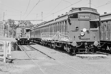 Photograph, George Coop, Hurstbridge Railway Station, 7-8 February 1981, 1981