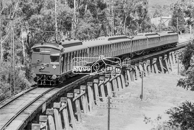 Photograph, George Coop, A Hurstbridge bound Tait (Red Rattler) train crossing the Eltham Railway Trestle Bridge, 7-8 February 1981, 1981