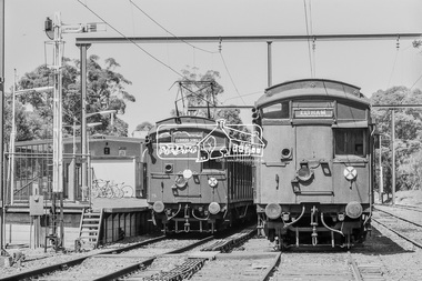 Photograph, George Coop, Tait (Red Rattler) trains at Eltham Railway Station, 7-8 February 1981, 1981