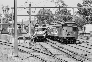 Photograph, George Coop, Tait (Red Rattler) trains at Eltham Railway Station, 7-8 February 1981, 1981