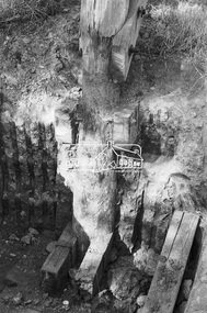 Photograph, George Coop, Maintenance work to a pier on the Eltham Railway Trestle Bridge, c.October 1982, 1982