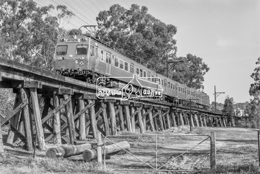 Photograph, George Coop, Hitachi train crossing Eltham Railway Trestle Bridge, c.October 1982, 1982