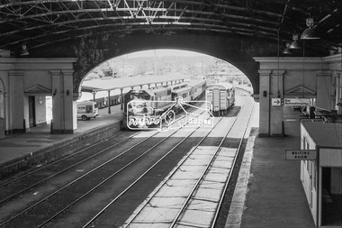 Photograph, George Coop, The Train of Knowledge, hauled by an X-class diesel locomotive, X48, Ballarat Railway Station, c.October 1982, 1982