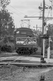 Photograph, George Coop, Hurstbridge bound Tait (Red Rattler) motor carriage passing through the level crossing at Diamond Street, Eltham, 17 July 1983, 1983
