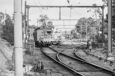 Photograph, George Coop, A Single Motor Carriage Tait (Red Rattler) train arrives from Hurstbridge at Eltham Railway Station, 17 July 1983, 1983