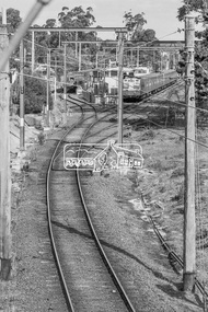 Photograph, George Coop, The approach to Eltham Railway Station from Hurstbridge, 17 July 1983, 1983