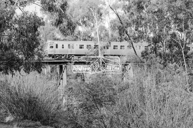 Photograph, George Coop, Flinders Street bound Hitachi train crossing the Eltham Railway Trestle Bridge, 21 August 1983, 1983