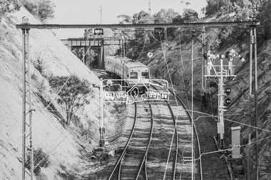Photograph, George Coop, Flinders Street bound Comeng train near Banksia Street overpass, Heidelberg, 23 August 1983, 1983