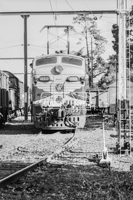 Photograph, George Coop, Victorian Railways electric locomotive L1159 at Eltham Railway Station, 23 August 1983, 1983