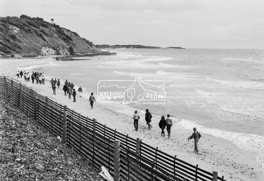 Photograph, George Coop, Sunnyside Beach, Mount Eliza, c.August 1983, 1983