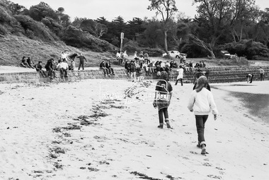 Photograph, George Coop, Sunnyside Beach, Mount Eliza, c.August 1983, 1983