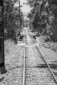 Photograph, George Coop, Derailment guard rails on the Hurstbridge line as the track crosses the Diamond Creek just north of Allendale Road, Diamond Creek, 6 December 1980, 1980