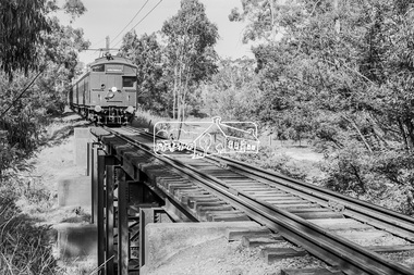 Photograph, George Coop, Single Motor Carriage (Red Rattler) Tait train heading for Eltham crossing over the Diamond Creek just north of Allendale Road, c.1981, 1981