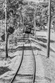Photograph, George Coop, Single Motor Carriage (Red Rattler) Tait train just about to arrive at Hurstbridge Railway Station, 7-8 February 1981, 1981
