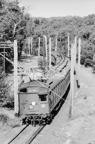 Photograph, George Coop, A Hurstbridge bound Tait (Red Rattler) train viewed from Silver Street railway overpass, Eltham, c.July 1983, 1983