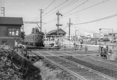 Photograph, Tait (Red Rattler) train bound for Mordialloc at McKinnon Road level crossing, Mckinnon Railway Station, Frankston line, c.1970, 1970