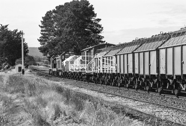 Photograph, Wheat train, Maldon to Maryborough, Victoria, c.1983, 1983