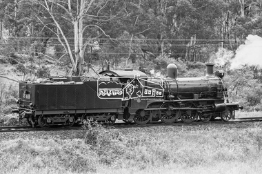 Photograph, Steam locomotive D-639 Vintage train excursion, Hurstbridge to Eltham, c.1970, 1970