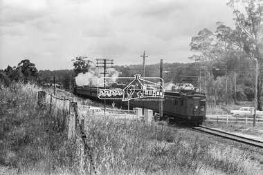 Photograph, Steam locomotive D-639 Vintage train excursion bound for Eltham at the Wattletree Road level crossing, Eltham, c.1970, 1970