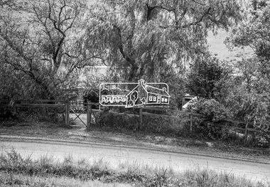 Photograph, Birch Cottage, Eltham-Yarra Glen Road, c.1970, 1970