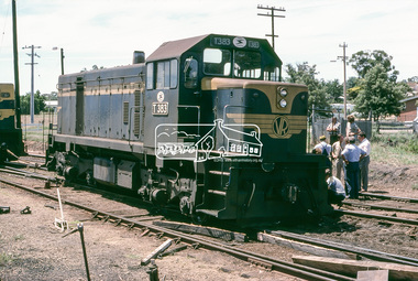 Photograph, Wheat train derailment near the yards of Dunolly Railway Station, Dunolly, Victoria, c.1983, 1983