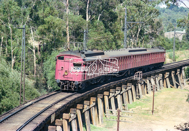 Photograph, A Tait (Red Rattler) train passes over the Eltham Trestle Bridge as it heads into Eltham, c. March 1981, 1981