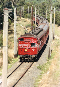 Photograph, A Princes Bridge bound Tait (Red Rattler) train viewed from Silver Street railway overpass, Eltham, c. March 1981, 1981