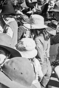 Photograph, Eltham Community Festival Grand Parade, Main Road near Arthur Street, Eltham, 6 August 1977, 1977