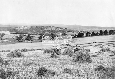 Photograph, View at Kangaroo Ground, c.1908