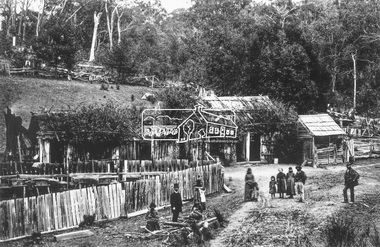 Photograph, Rourkes Ridge, on the Yea border, near Kinglake