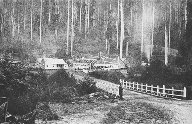 Photograph, M.Jefferson, Watts Bridge Hotel, Fernshaw, Vic
