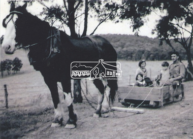 Photograph, Stokes family with horse and sled, Nyora Road, Eltham, c.1950, 1950c