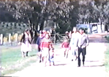 Film - Video (DVD), Frank Stokes, Stokes Family, 1950-1977