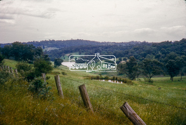 Photograph, Wet Gully (local name) between Eltham and Diamond Creek, bound by Reynolds and Lorimer roads, Diamond Creek, c.November 1964, 1964c