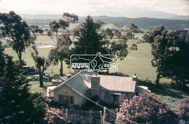 Photograph, View from Kangaroo Ground Tower, c.1966-c.1968, 1967c