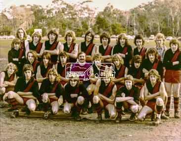 Photograph, Eltham Football Club, Central Park, c.1970s