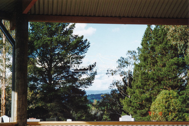Photograph, A walk through the cemetery at Kangaroo Ground, Diana Bassett-Smith, 1 October 2001, 2001