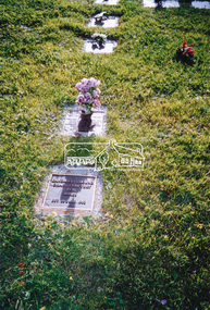 Photograph, A walk through the cemetery at Kangaroo Ground, Diana Bassett-Smith, 1 October 2001, 2001