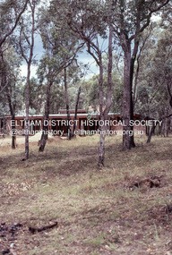 Photograph, Michael Wood, Wood family home post construction, 184 Progress Road, Eltham North, February 1970, 1970