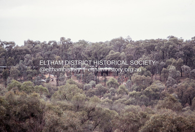 Photograph, Michael Wood, Houses on Progress Road viewed from Glen Park Road, Eltham North, February 1970, 1970
