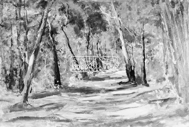 Photograph, "Bush Track" - Alan Martin, 1971