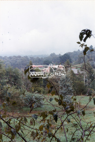 Photograph, View from lounge room looking towards Pitt Street and Wattle Grove, 218 Pitt Street, Eltham, c.1985, 1985c