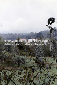 Photograph, View from lounge room looking towards Pitt Street and Wattle Grove, 218 Pitt Street, Eltham, c.1985, 1985c