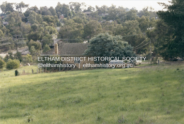 Photograph, View from back fence on to Eucalyptus Road. Pitt Street Reserve to the right, 18 Pitt Street, Eltham, c.1985, 1985c