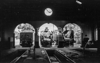 Photograph, Steam locomotives K-155, K-173 and J-511 outside the locomotive workshop, Echuca Railway Station, c.October 1962, 1962c
